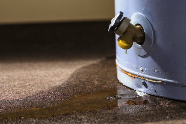 Best Flood damage cleanup  in West Deland, FL