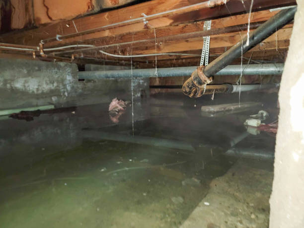Best Flooded house restoration  in West Deland, FL