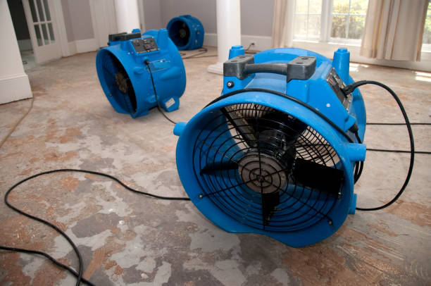 Best Water damage restoration near me  in West Deland, FL