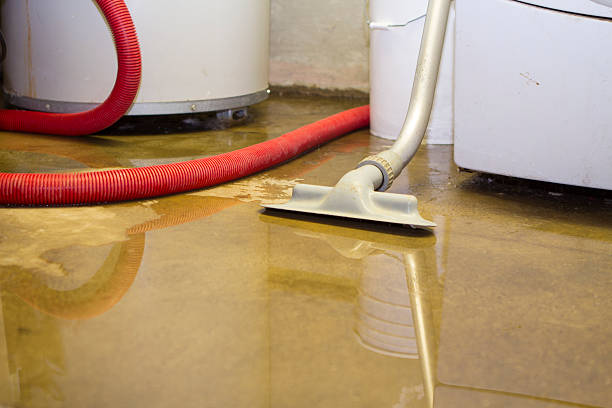 Best 24/7 water damage repair  in West Deland, FL