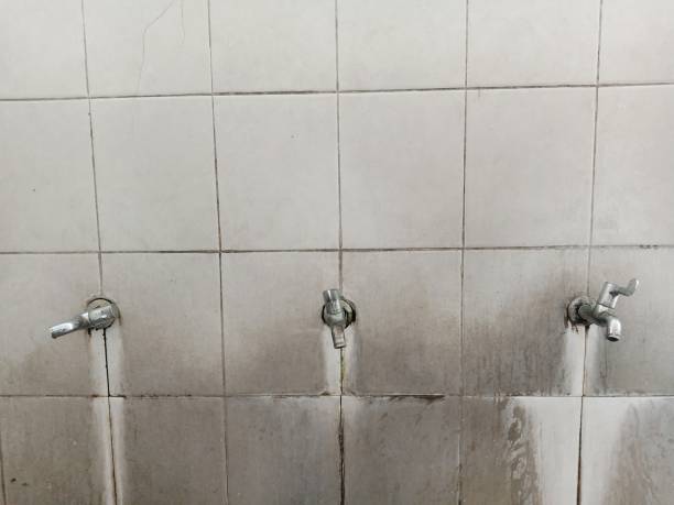 Best 24-hour water damage restoration  in West Deland, FL