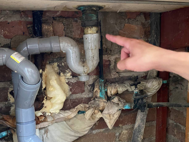 Best Basement water damage restoration  in West Deland, FL