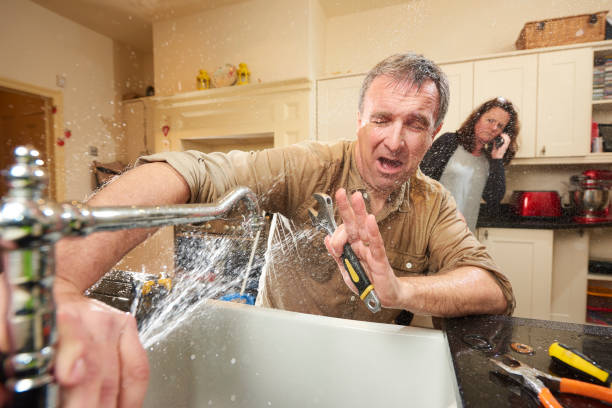Best 24/7 water damage repair  in West Deland, FL